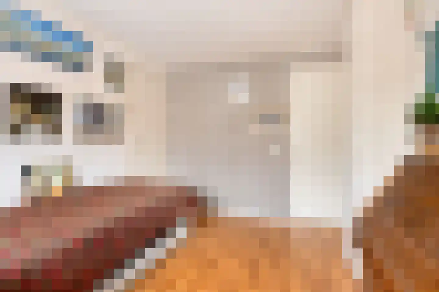 Willem van Windenstraat 3 Pijnacker thumbnail 26