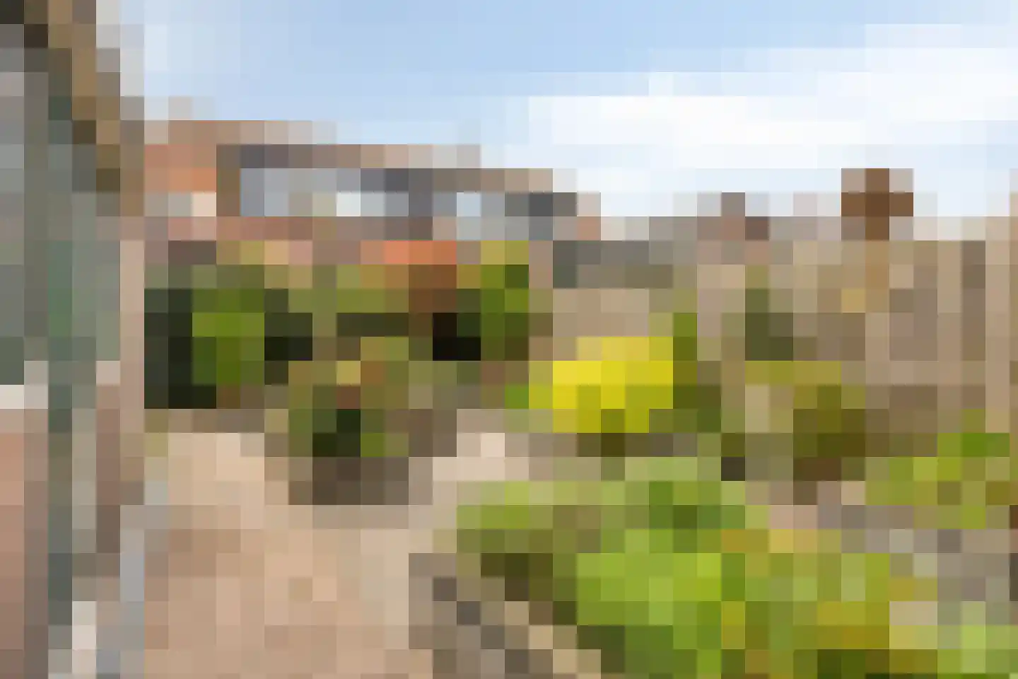Willem van Windenstraat 3 Pijnacker thumbnail 34