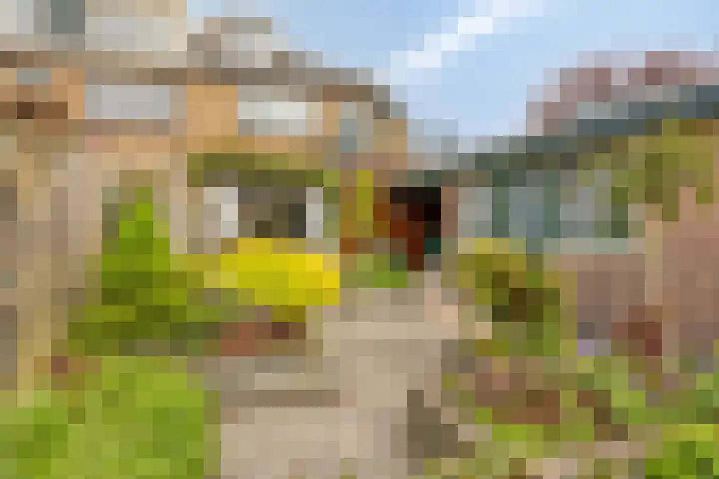 Willem van Windenstraat 3 Pijnacker thumbnail 35