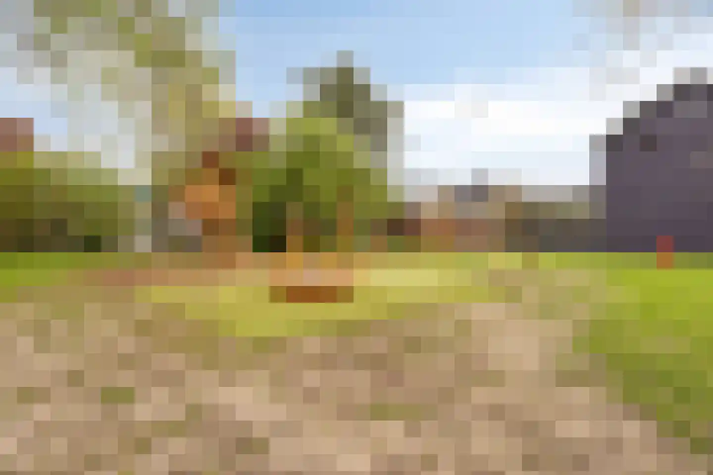 Willem van Windenstraat 3 Pijnacker thumbnail 38