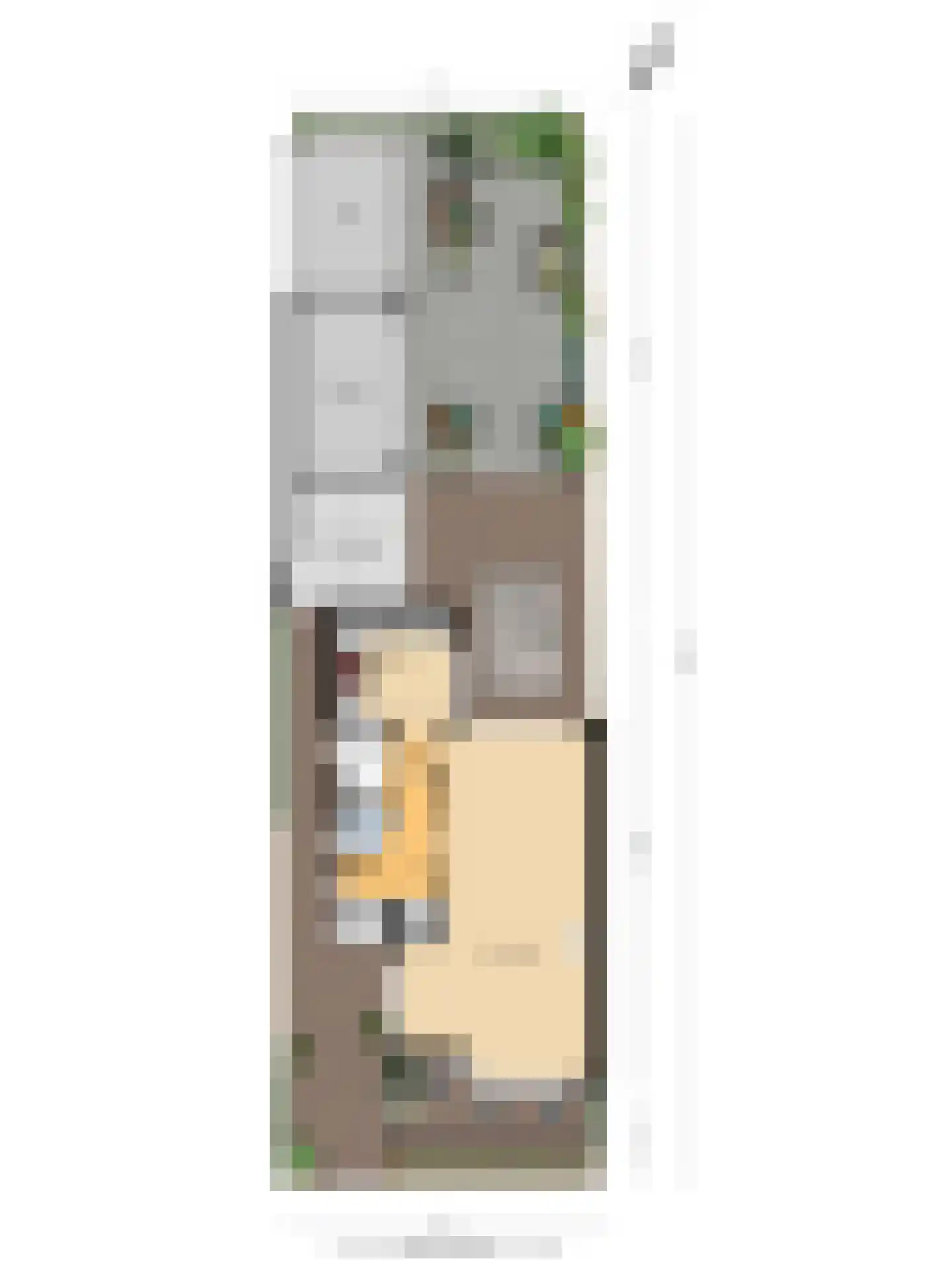 Willem van Windenstraat 3 Pijnacker thumbnail 39