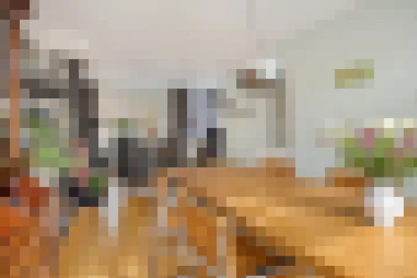 Willem van Windenstraat 3 Pijnacker thumbnail 4