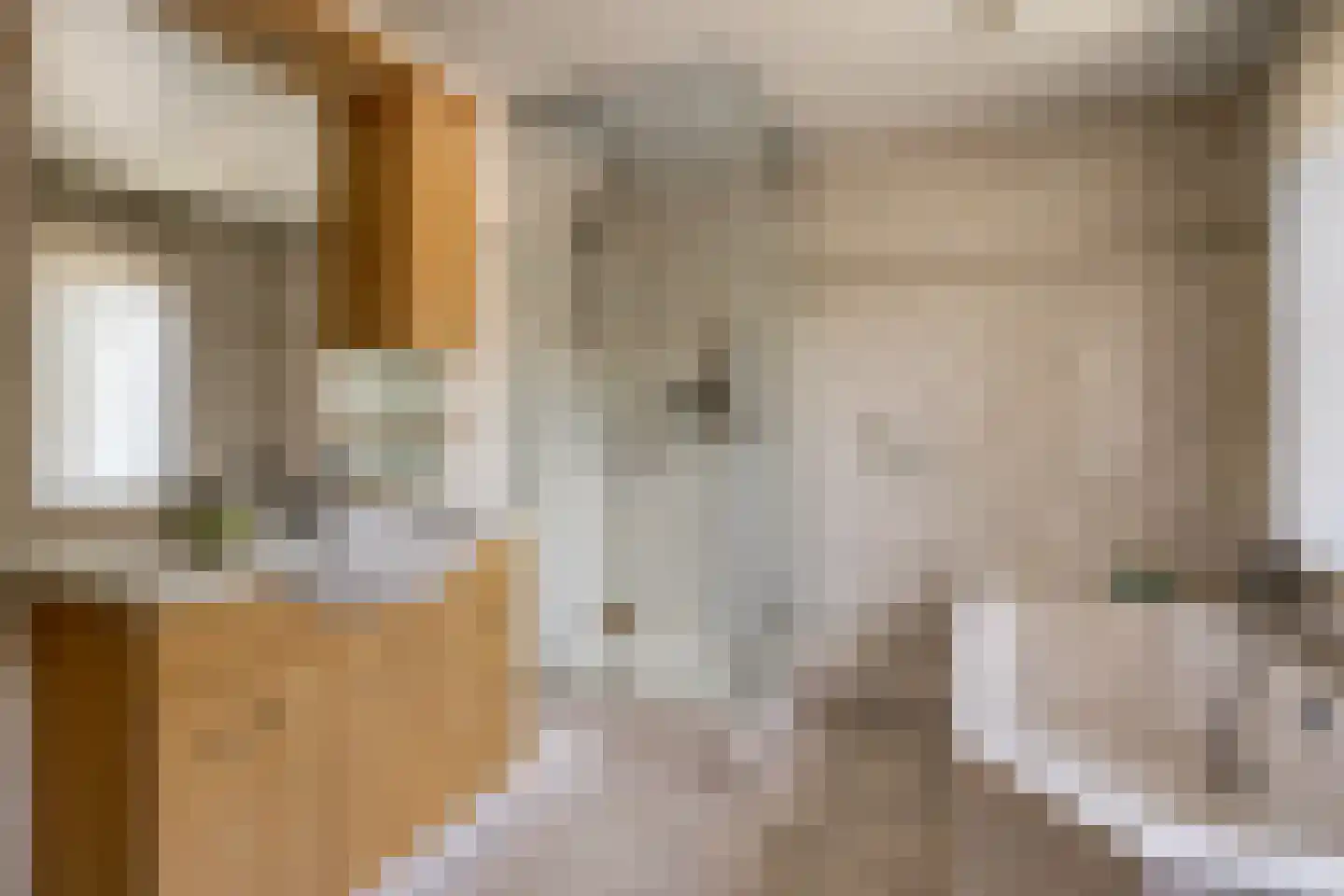 Willem Verheidenstraat 1 Grave thumbnail 20