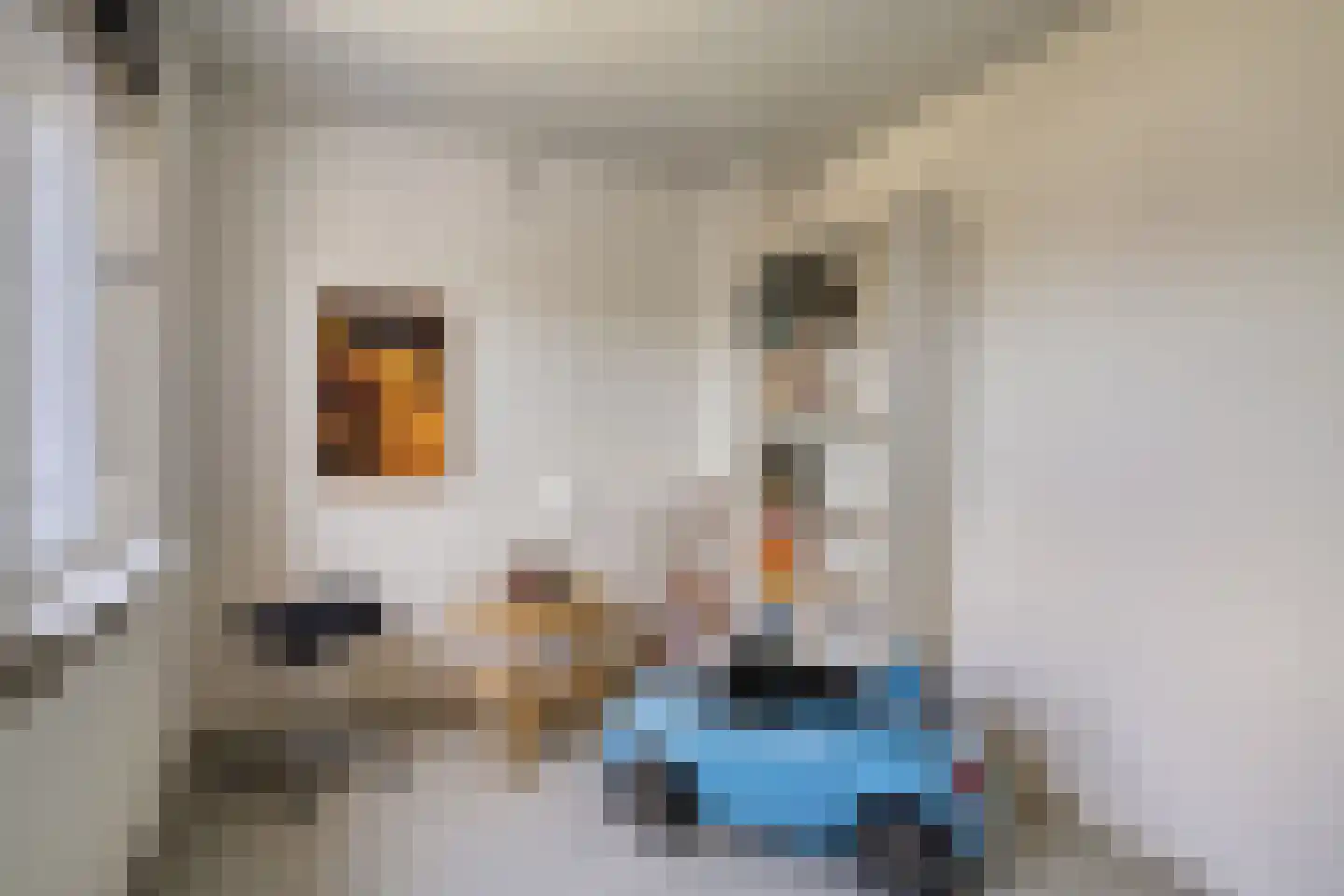 Willem Verheidenstraat 1 Grave thumbnail 24