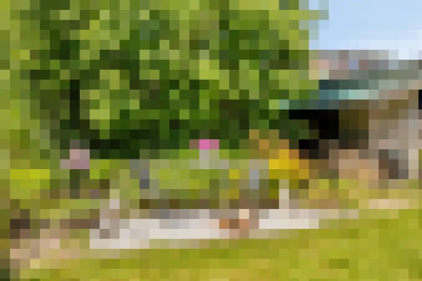 Willem Verheidenstraat 1 Grave thumbnail 27