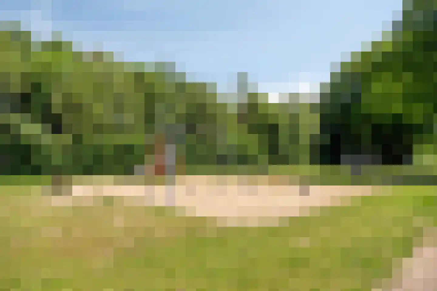 Willem Verheidenstraat 1 Grave thumbnail 35