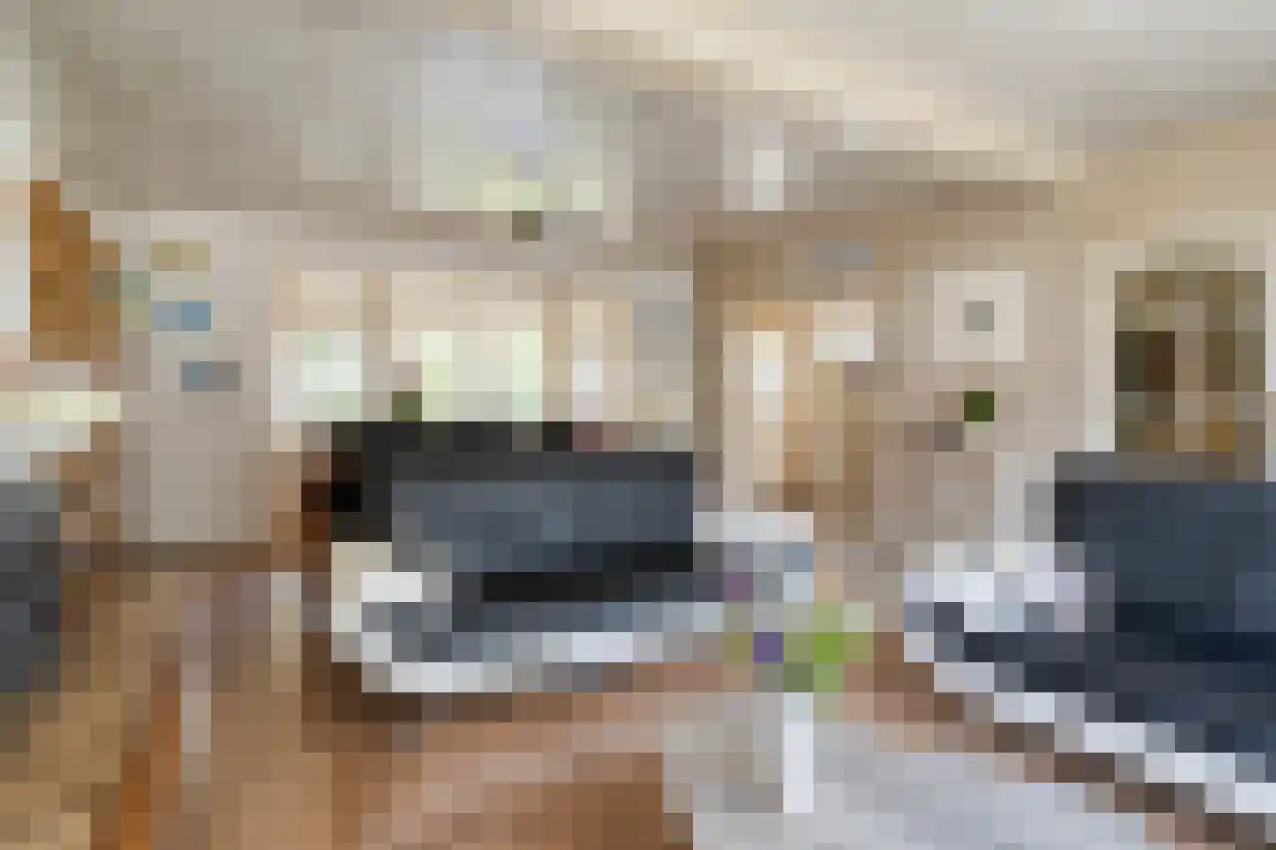 Willem Verheidenstraat 1 Grave thumbnail 8