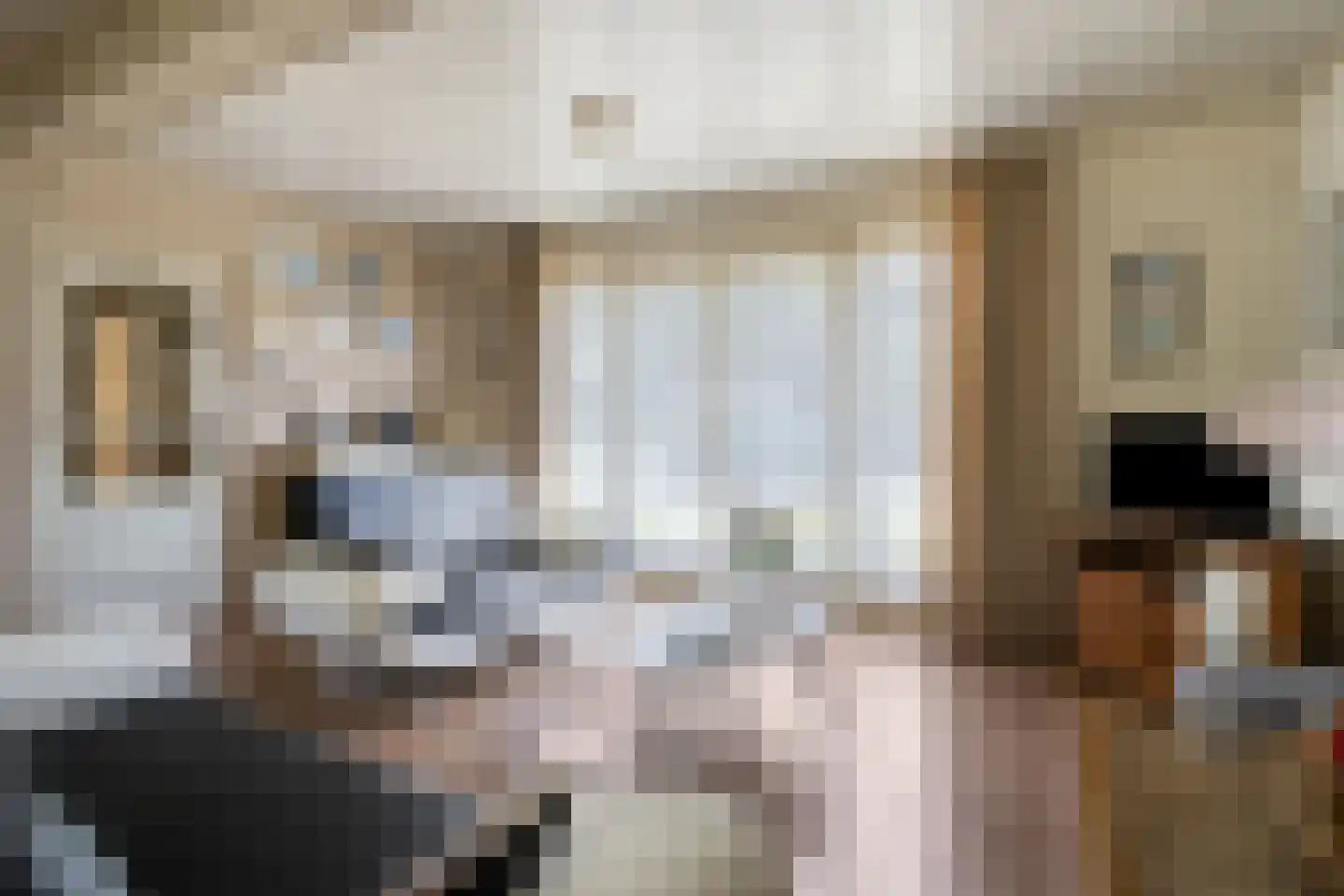 Willem Verheidenstraat 1 Grave thumbnail 9