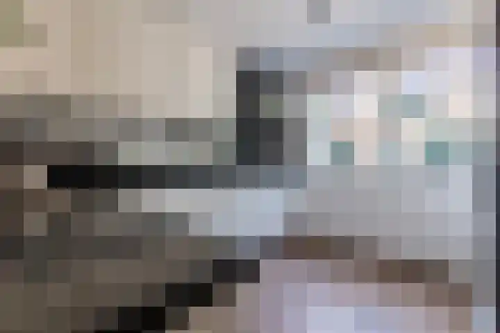 Willem Versteeghstraat 1 Huis ter Heide thumbnail 10