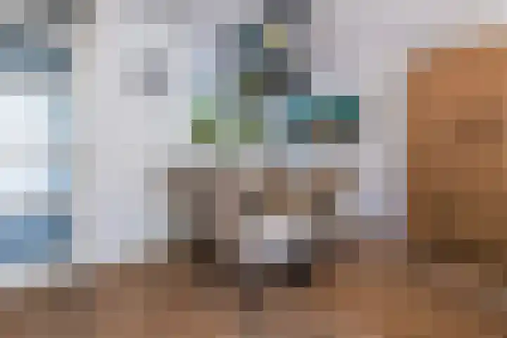 Willem Versteeghstraat 1 Huis ter Heide thumbnail 9