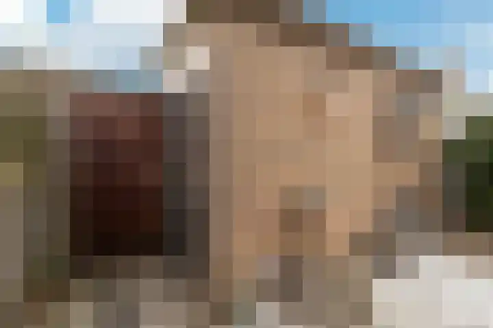 Willem Vessieslaan 3 Beverwijk thumbnail 13