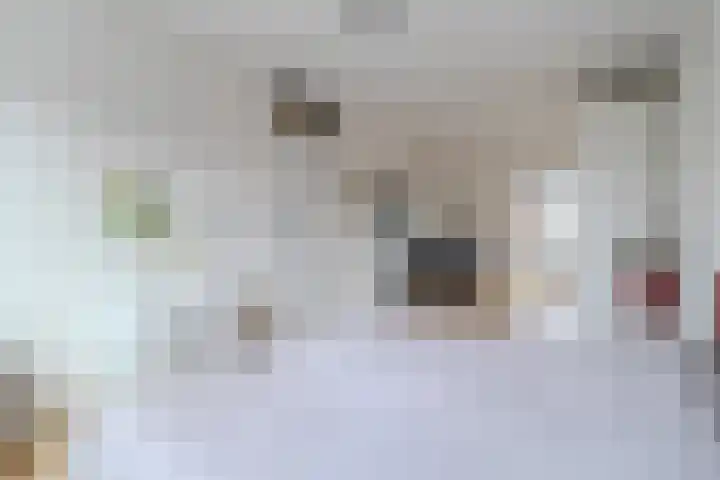 Willem Vessieslaan 3 Beverwijk thumbnail 19