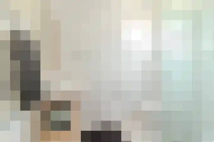 Willem Vessieslaan 3 Beverwijk thumbnail 21