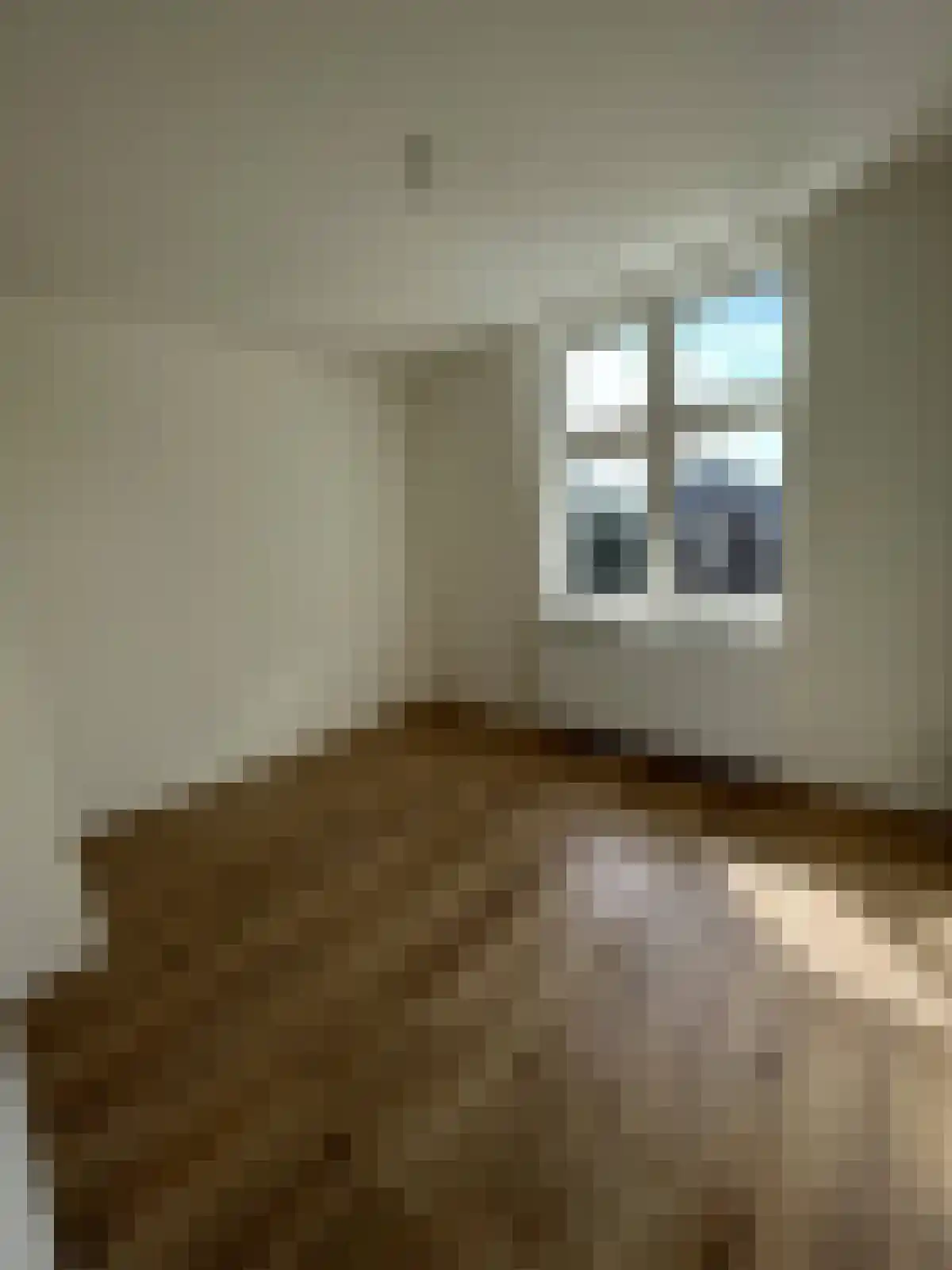 Willem Vliegenstraat 88 Maastricht thumbnail 5
