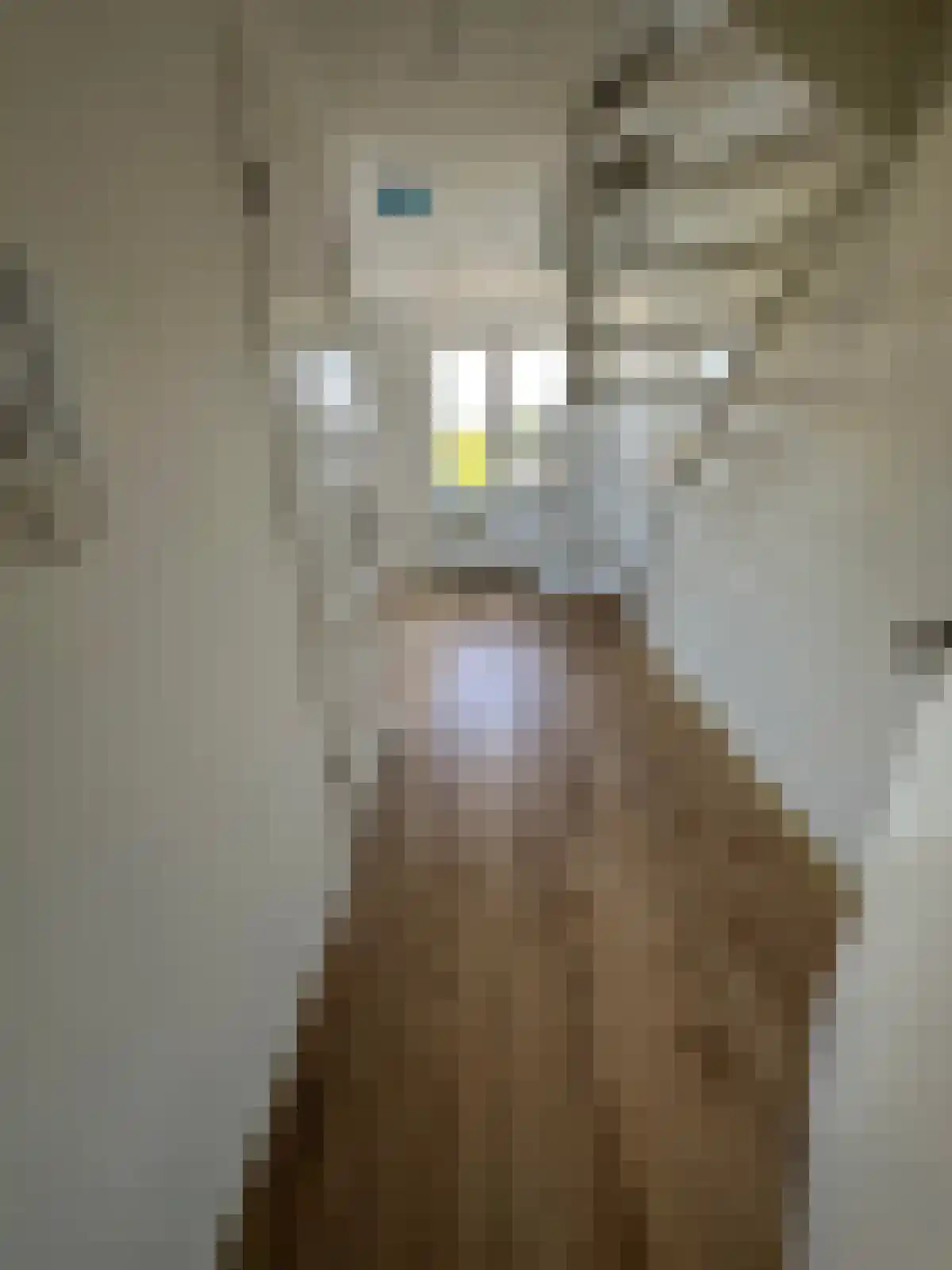 Willem Vliegenstraat 88 Maastricht thumbnail 5