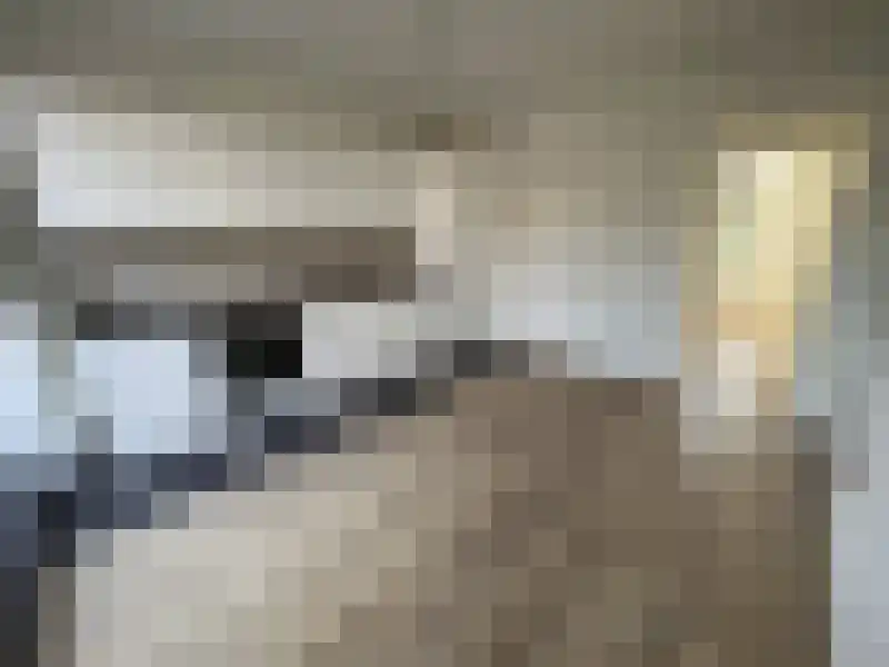 Willem Vliegenstraat 88 Maastricht thumbnail 8