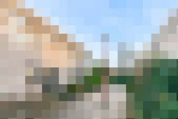 Willem Walravenhove 12 Nieuwegein thumbnail 25