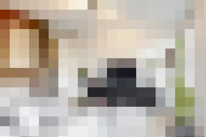 Willem Walravenhove 12 Nieuwegein thumbnail 4