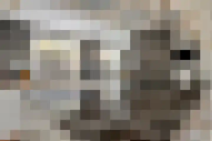 Willem Walravenhove 20 Nieuwegein thumbnail 12