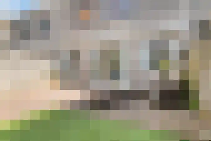 Willem Walravenhove 20 Nieuwegein thumbnail 28