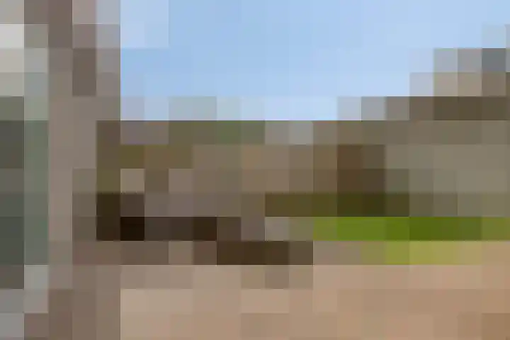 Willem Walravenhove 20 Nieuwegein thumbnail 30