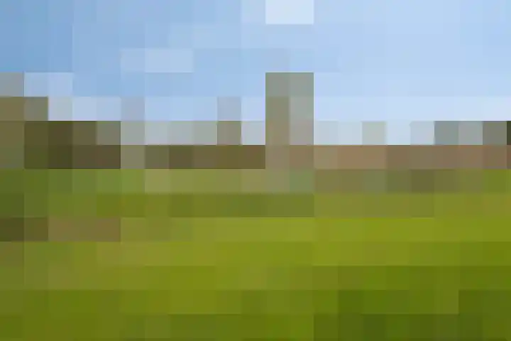 Willem Walravenhove 20 Nieuwegein thumbnail 35