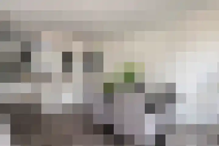 Willem Walravenhove 20 Nieuwegein thumbnail 6