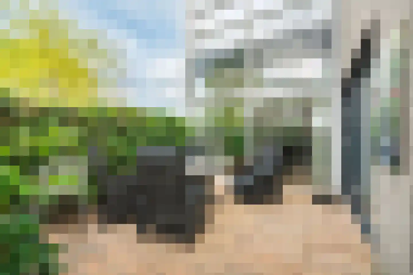 Willem Walravenhove 23 Nieuwegein thumbnail 21