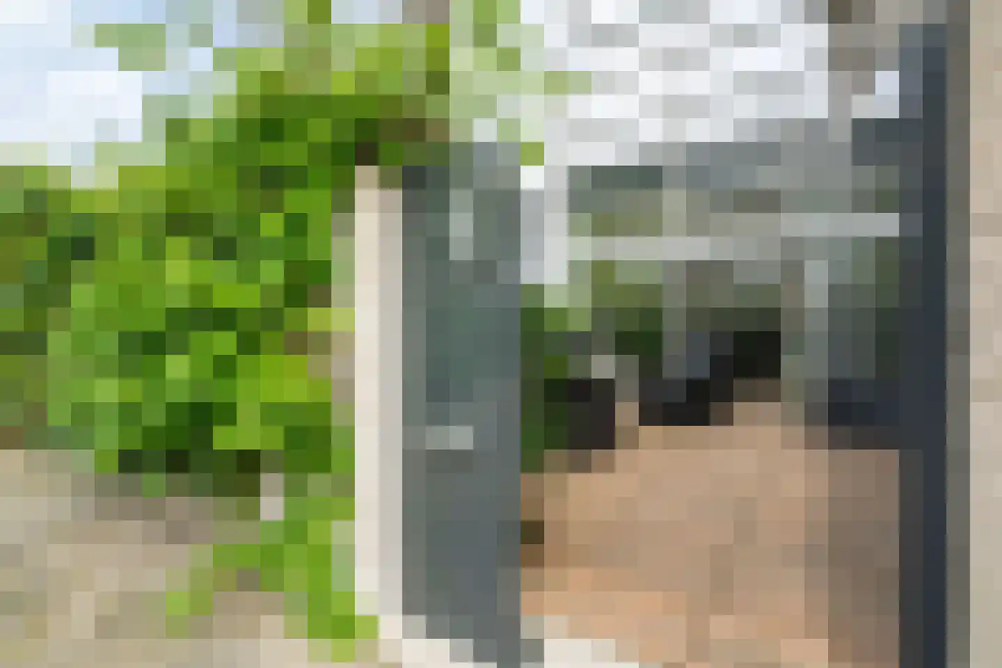 Willem Walravenhove 23 Nieuwegein thumbnail 4