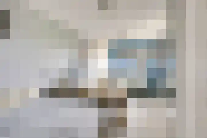 Willem Walravenhove 38 Nieuwegein thumbnail 21