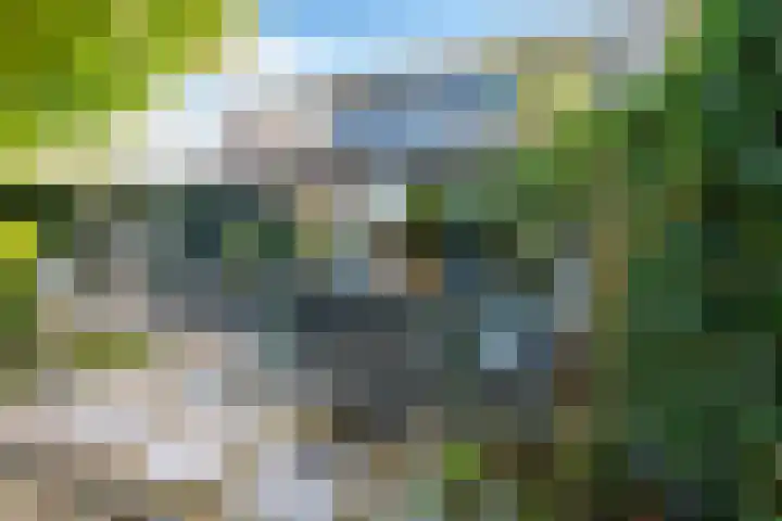 Willem Walravenhove 38 Nieuwegein thumbnail 36