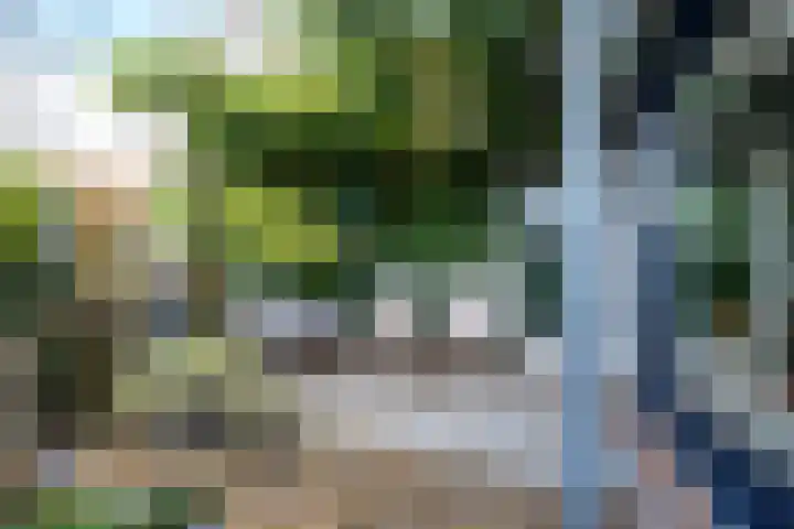 Willem Walravenhove 38 Nieuwegein thumbnail 37