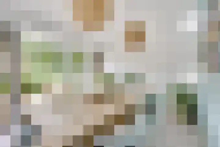 Willem Walravenhove 38 Nieuwegein thumbnail 9