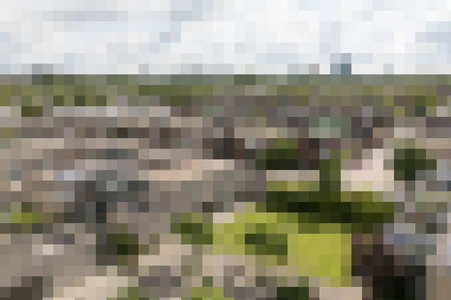Willem Walravenhove 40 Nieuwegein thumbnail 39