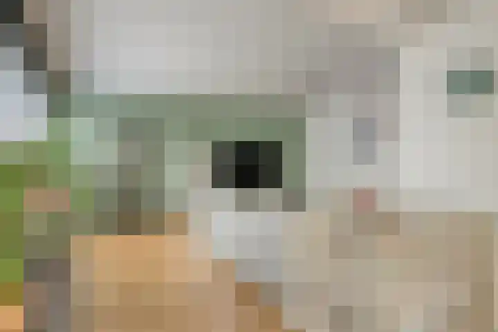 Willem Walravenhove 9 Nieuwegein thumbnail 10