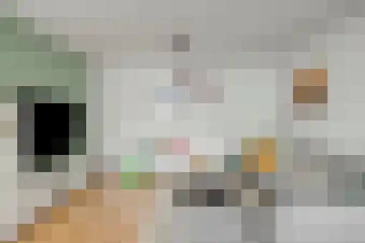 Willem Walravenhove 9 Nieuwegein thumbnail 11