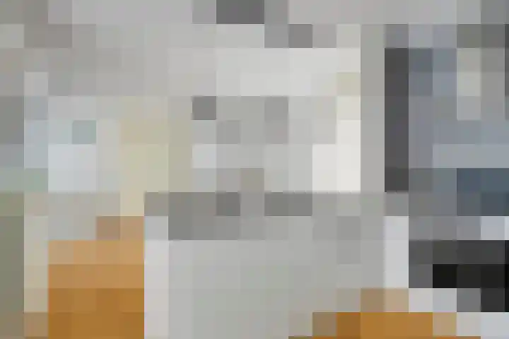 Willem Walravenhove 9 Nieuwegein thumbnail 13