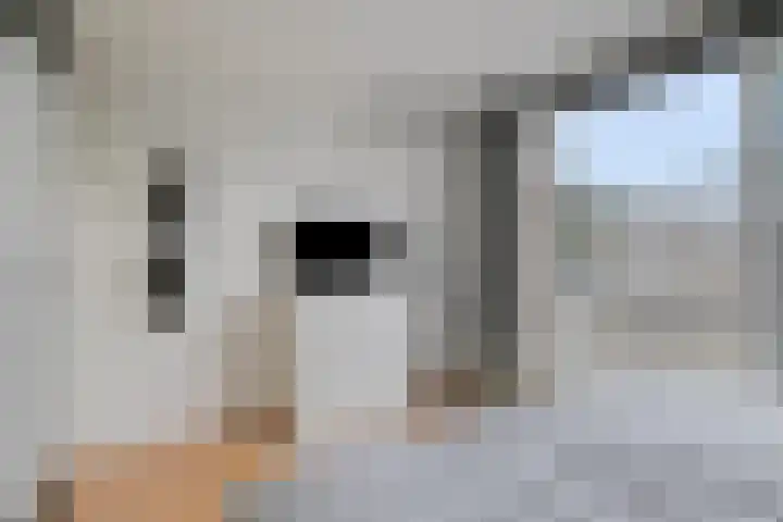 Willem Walravenhove 9 Nieuwegein thumbnail 22