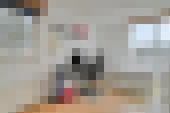 Willem Walravenhove 9 Nieuwegein thumbnail 23