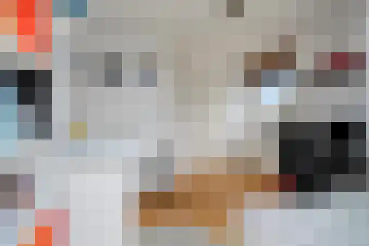 Willem Walravenhove 9 Nieuwegein thumbnail 24