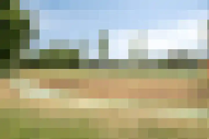 Willem Walravenhove 9 Nieuwegein thumbnail 33