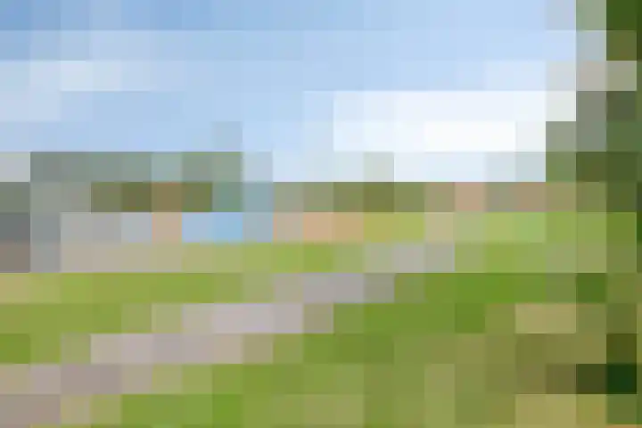 Willem Walravenhove 9 Nieuwegein thumbnail 34