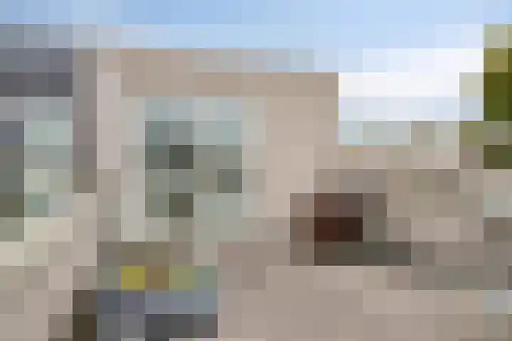 Willem Walravenhove 9 Nieuwegein thumbnail 6