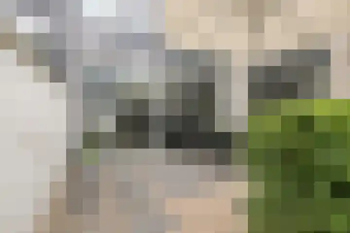 Willem Walravenhove 9 Nieuwegein thumbnail 7