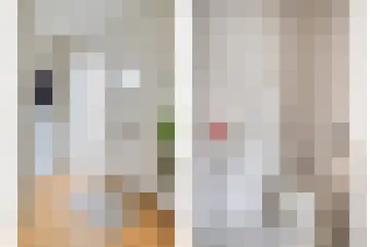 Willem Walravenhove 9 Nieuwegein thumbnail 9
