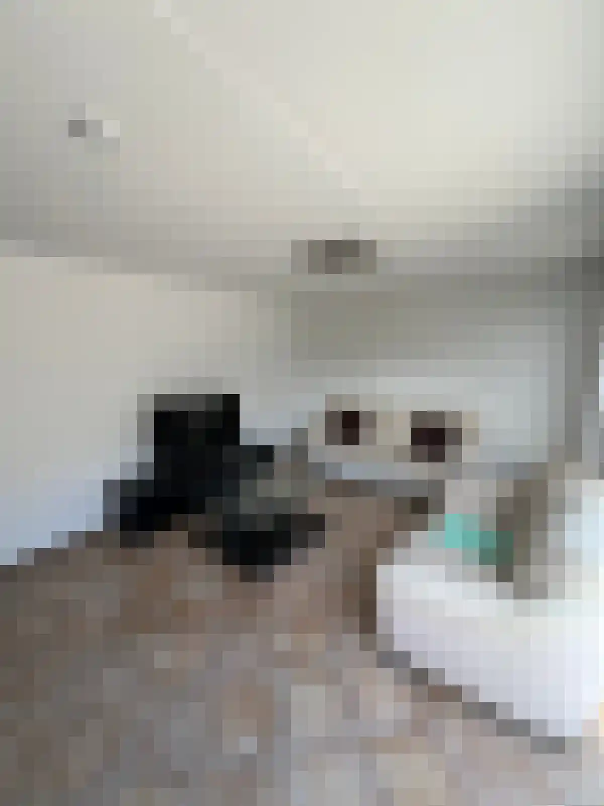 Willem Walravenhove Nieuwegein thumbnail 4