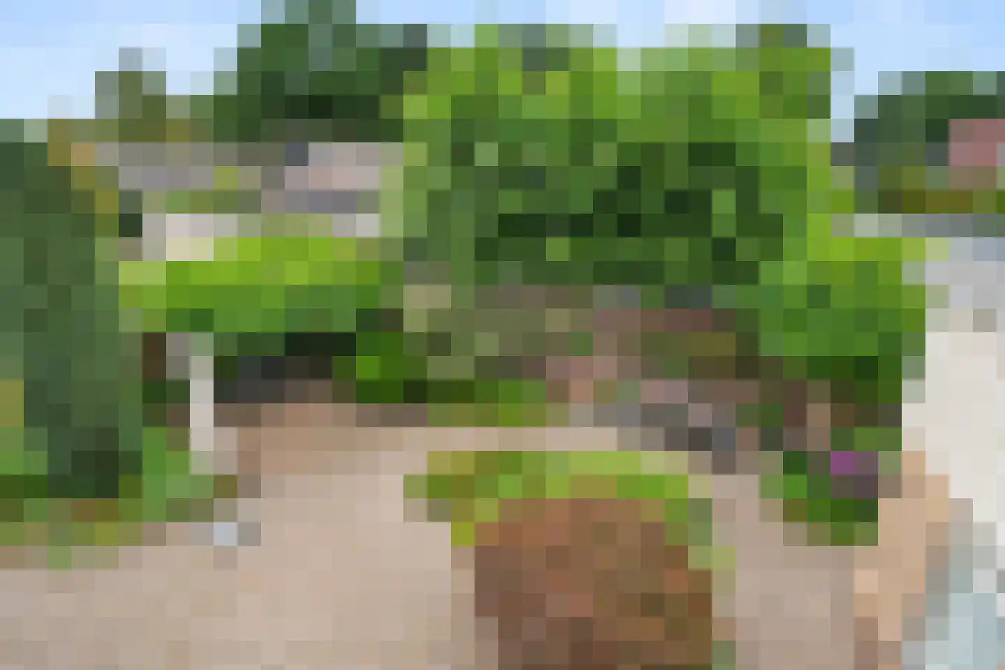 Willem Welgravenlaan 16 Lunteren thumbnail 31