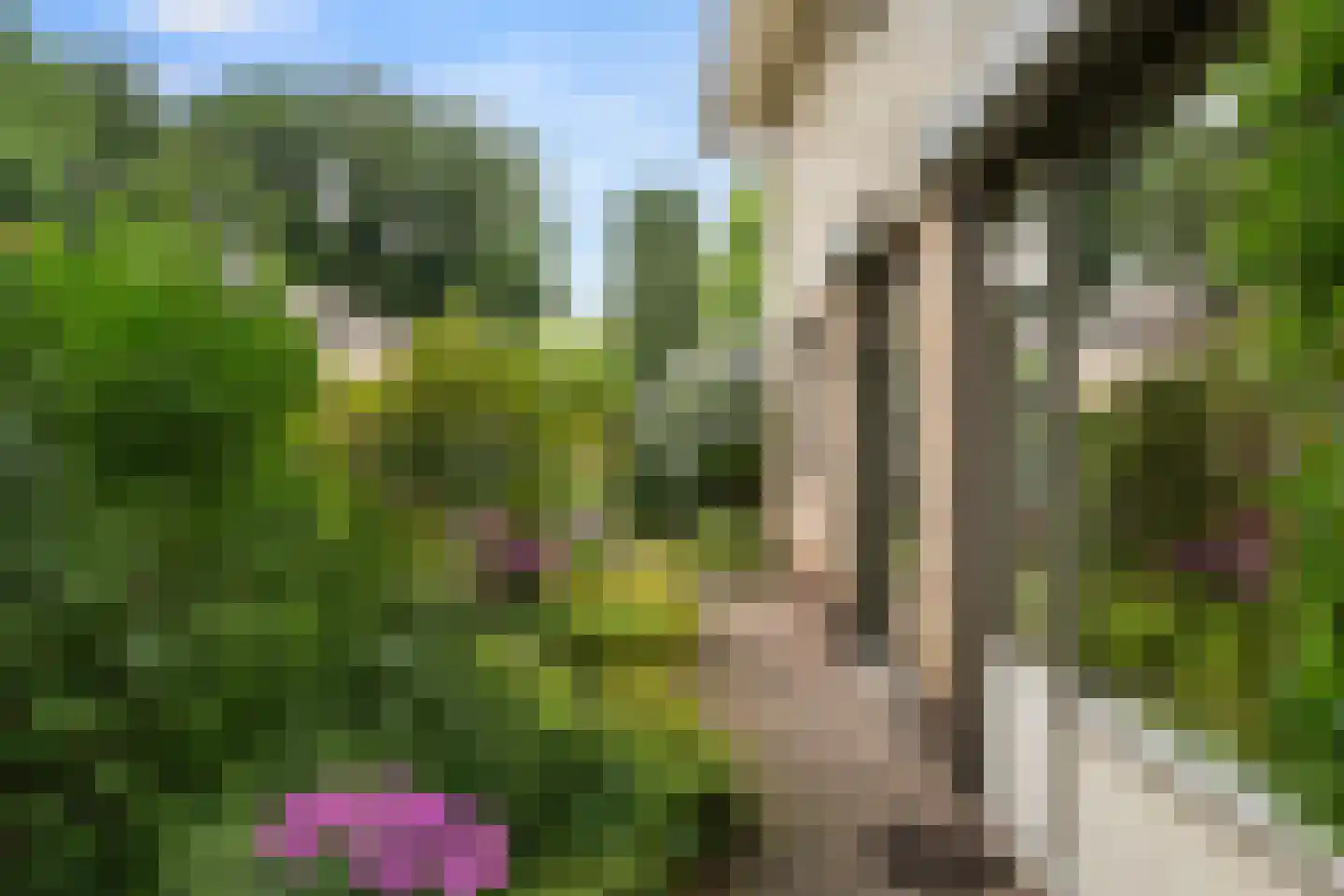 Willem Welgravenlaan 16 Lunteren thumbnail 46