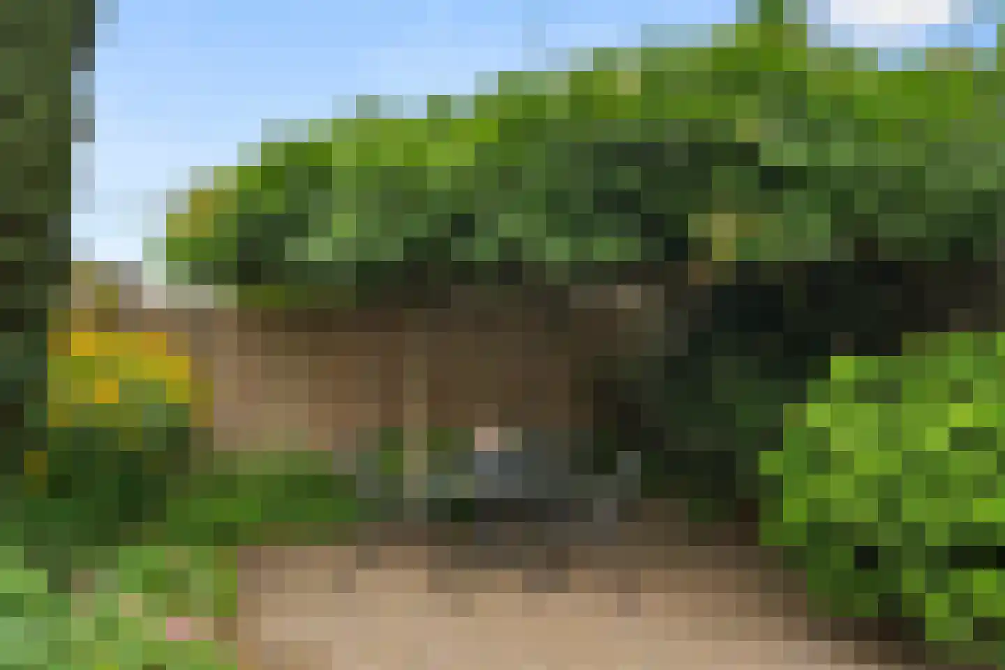 Willem Welgravenlaan 16 Lunteren thumbnail 47