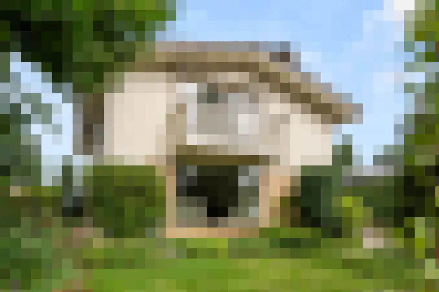 Willem Welgravenlaan 16 Lunteren thumbnail 5